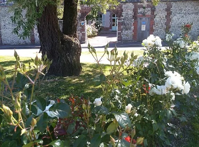 D'hotes Sophie Cite Des Peintres Honfleur