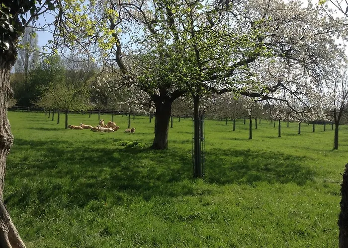 D'hotes Sophie Cite Des Peintres