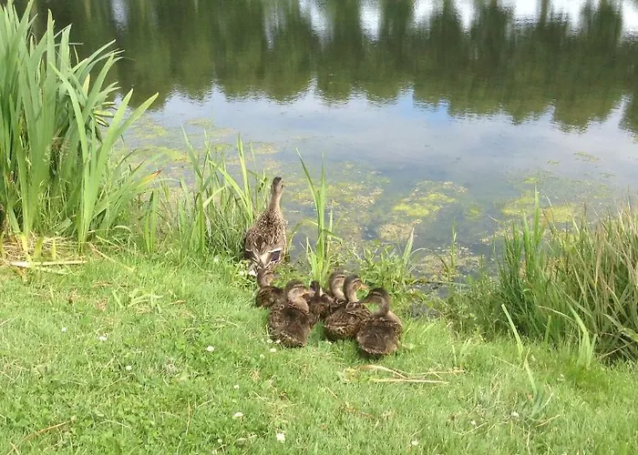 Lamaison Du Phare D'hotes 3*